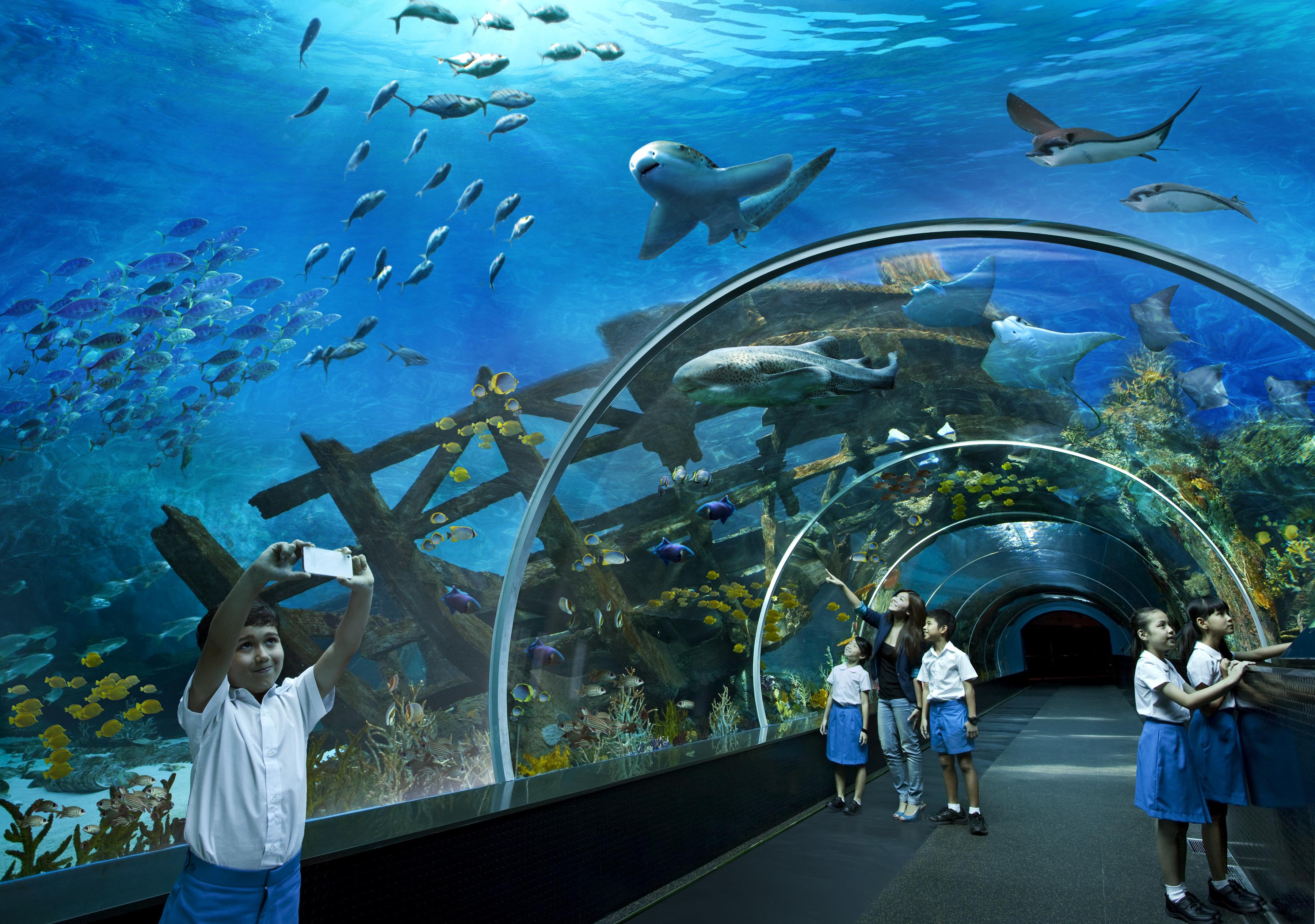 Resorts World Sentosa - Crockfords Tower Singapur Exterior foto